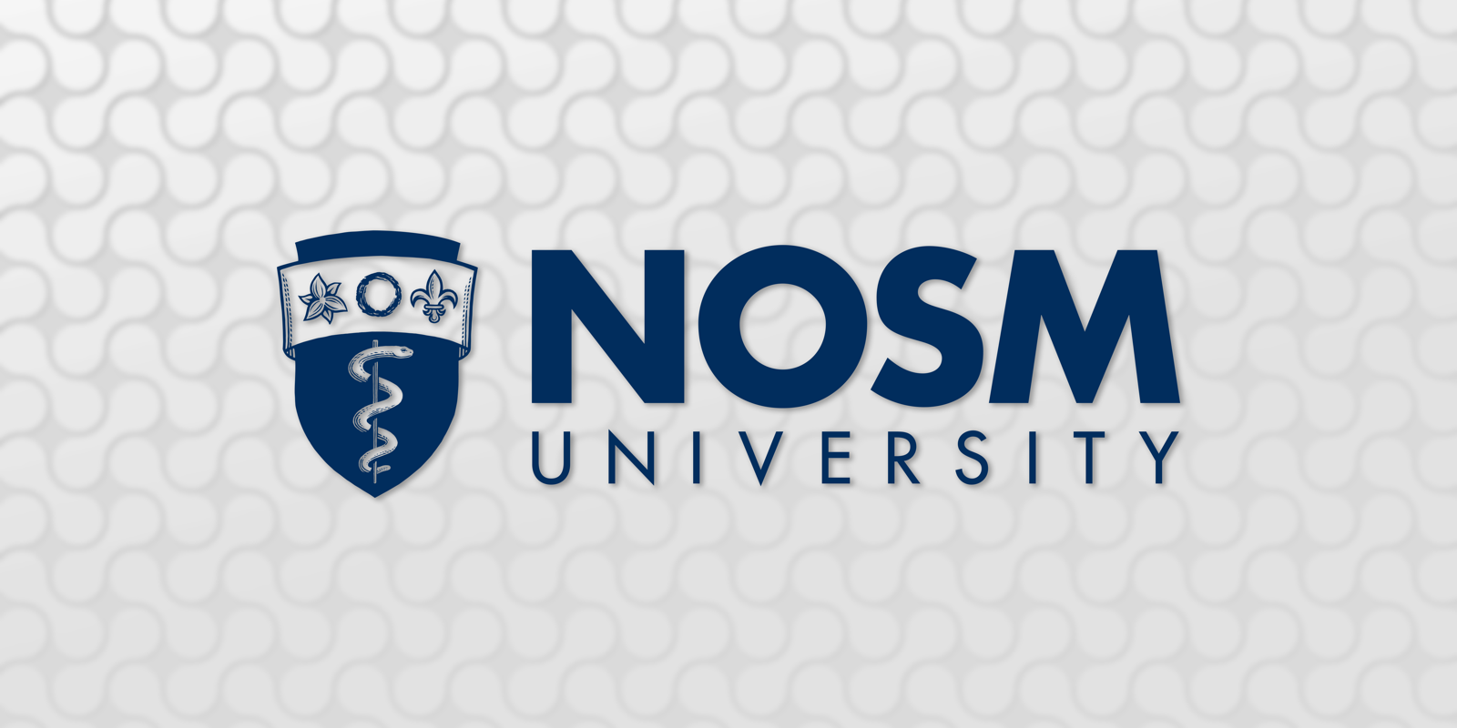 Cover of the NOSM University brand guide